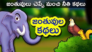 జంతువులు చెప్పే మంచి మంచి నీతి కథలు చూడండి  Telugu Kathalu  Telugu Animal Stories [upl. by Darla]