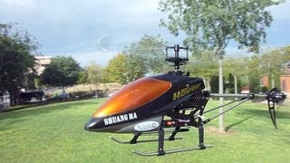 DH 9100 RC Heli TEST [upl. by Ibloc]