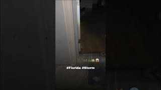 Alligator in kitchen From Hurricane Milton WILD [upl. by Ahcarb]