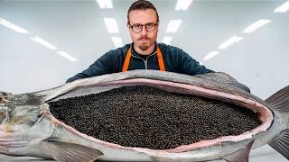 How Caviar Is Made Farm To Table [upl. by Madda]