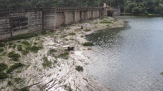 Lago Dos Bocas 🇵🇷 Es Muy Fuerte Lo Que Vamos A Decir [upl. by Richardo]