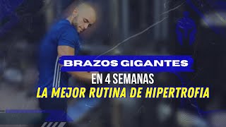 Cómo tener brazos gigantes en 4 semanas  La mejor rutina de hipertrofia [upl. by Kraul644]