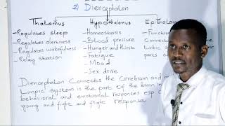 BIOLOGY FORM 4 CHAPTER1 Diencephalon LECTURE 13 [upl. by Alekim810]