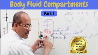 Body Fluid Compartments  IV Fluids  Types amp Uses Part 1🩺 [upl. by Yvonne189]