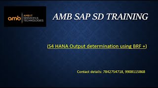 SAP SD  S4 HANA  Output determination with Business Rule Framework BRF [upl. by Anelagna]