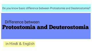 Protostomia and Deuterostomia Basic differences [upl. by Knah56]