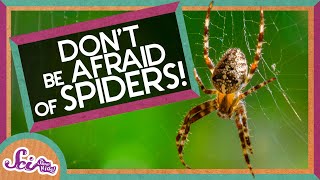 Dont Be Afraid of Spiders  Amazing Animals  Backyard Science  SciShow Kids [upl. by Llet]