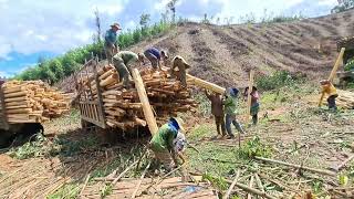 Full video The final shipment of three trucks and strong farmers [upl. by Nyliram581]