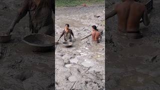 Amazing village woman catching huge catfish by hand in deep Mudd fishing catfish fish shorts [upl. by Rephotsirhc]