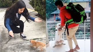 Dogs Meets Owner After Long Time  TRY NOT TO CRY [upl. by Thurston]