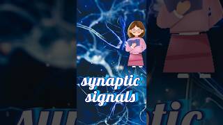 What is synaptic signals [upl. by Notyep]