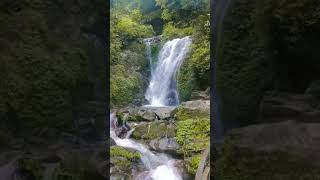 WATERFALLS OF ROCK GARDEN DARJEELING [upl. by Eidas]