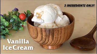 Vanilla Ice Cream Recipe  Homemade vanilla icecream  How to make vanilla ice cream [upl. by Bred878]