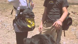 Climbing a Colorado fourteener with Mountainsmith [upl. by Pardo363]