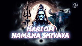 Hari om namah shivaya  Shiva mantra [upl. by Skye]