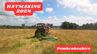 Haymaking 2024 in Pembrokeshire  Dropping Grass with Claas Mower [upl. by Namrehs]