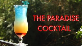 How To Make A Paradise Tropical Layered Cocktail  Drinks Made Easy [upl. by Cadmann]