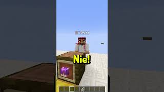 Minecraft zgadnij Youtubera z Amir [upl. by Custer752]