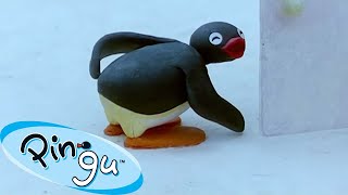 Pingu Gets Into Mischief 🐧  Pingu  Official Channel  Cartoons For Kids [upl. by Nored]