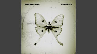 Stupefied [upl. by Ellemac]