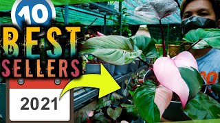 HALAMANG BESTSELLERS SA 2021 💵😱 PHILODENDRONS  HOMALOMENA  MONSTERA  SYNGONIUM [upl. by Enaid]