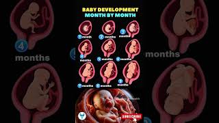 Baby development 👉 Your Guide to Fetal Growth Month by Month  Fetus development baby shortsvideo [upl. by Sukramed832]