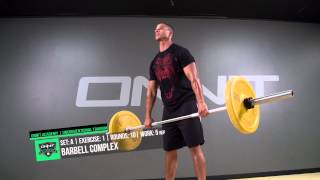 Full Body Animal Strength Workout [upl. by Sausa]