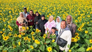 সূর্যমুখীর বাগানে আমরা 🌻 🌻 🌻 [upl. by Anavahs]