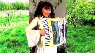 Despacito  accordionmusic  Wiesia [upl. by Mack]