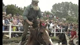 Tradition et rituels autour du cheval en Bretagne [upl. by Ysnat]