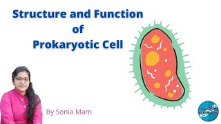 Structure and Function of Prokaryotic Cell [upl. by Yddub]