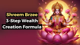 Shreem Brzee 3 Steps to Unlock Inner Wealth [upl. by Eissoj]