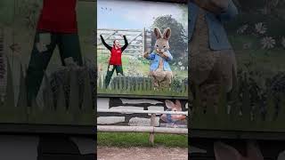 Willows Activity Farm Peter Rabbit Show with Charley [upl. by Ennaylloh]