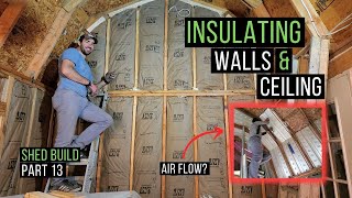 How to Install Insulation  DIY Faced Insulation  Shed Build Part 13 [upl. by Sorel]