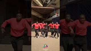 Mansa by Bisa kdei xtreem arena dance crew cover [upl. by Eicak]