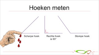 Wiskunde  Hoeken meten met een geodriehoek [upl. by Sashenka]