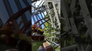 Twisted Timbers at Kings Dominion POV shorts [upl. by Isidoro485]