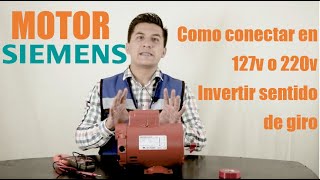 Motor SIEMENS monofásico  Como conectar en 110v y 220v  Como invertir sentido de giro  Reseña [upl. by Akyeluz]