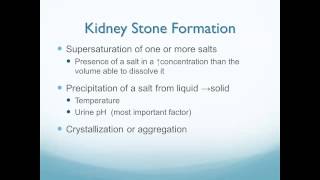 Altered Renal and Urologic Function [upl. by Aivatal]