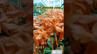 Raag Komanor Dua  Sahi Hadis  Mijanur Rahman [upl. by Skippie]