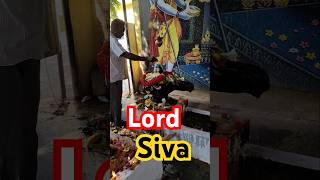 Siva temple chaganti srichagantikoteswararao mahipeta siva devotional [upl. by Dorina]