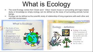 What is ecology and ecosystem classification of ecosystem [upl. by Uzial81]