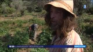 Agronomie Faire pousser des légumes sans eau [upl. by Rusell]