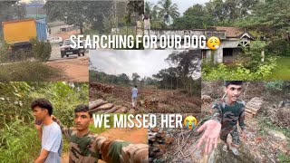 Searching for our dog babblydoglover missing vlog search pets finding dog [upl. by Goto485]