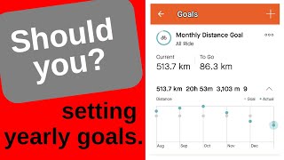 Should you Setting yearly goals [upl. by Ablem]