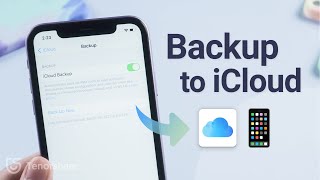 How to Backup iPhone to iCloud Full Guide [upl. by Llenyt103]