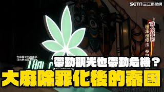 泰國如何成「大麻天堂」！揭秘大麻除罪化後的泰國 帶動經濟產業鍊也帶來危機？｜開放僅18月！百萬民眾自家種植大麻 泰國政府擬禁娛樂用大麻｜消失的國界｜94要賺錢 [upl. by Dnalon]