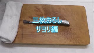 【魚のさばき方】釣ったサヨリを三枚おろしにしてみた [upl. by Bbor632]