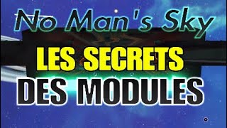 🔎 LES SECRETS DES MODULES 🔍 14 STATS ALÉATOIRES 🤔 No Mans Sky [upl. by Vogele59]