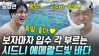 부산촌놈in시드니 시드니에 해변에 뜬 웻보이아니 물범 아니 곽튜브🤣 스노클링 핫플로 유명한 곳에서 꿀 같은 휴일 보내기 [upl. by Jennine]